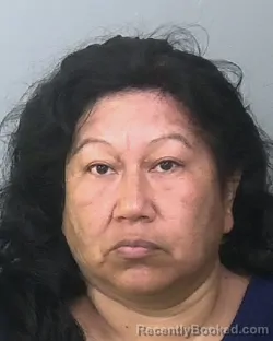 Mugshot of MARIA DEL ROCIO GALVAN RAMIREZ booked in Manatee County, Florida on May 5, 2026