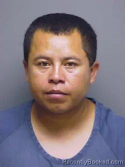 Mugshot of MANUEL GOMEZ-SALGADO booked in Manatee County, Florida on May 1, 2026