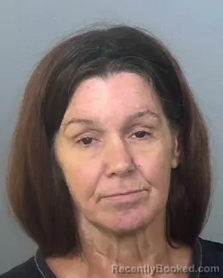 Mugshot of MISTY MAE GOLDY booked in Manatee County, Florida on March 13, 2026