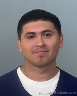 Mugshot of RAY GONZALEZ booked in Manatee County, Florida on March 13, 2026