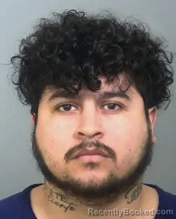 Mugshot of SEBASTIAN GUERRERO-LINAN booked in Manatee County, Florida on March 18, 2026