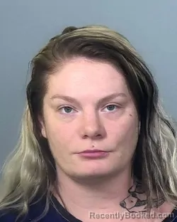Mugshot of ASHLEY J HAMM