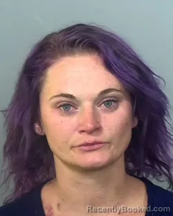 Booking photo from Manatee County, Florida