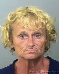 Mugshot of CHRISTINA MARIE HEPPE booked in Manatee County, Florida on May 1, 2026