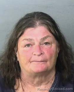 Mugshot of CATHERINE M HEWITT booked in Manatee County, Florida on May 12, 2026