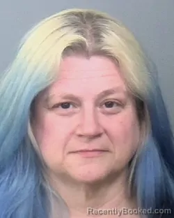 Mugshot of ELIZABETH A HUSS booked in Manatee County, Florida on June 4, 2026