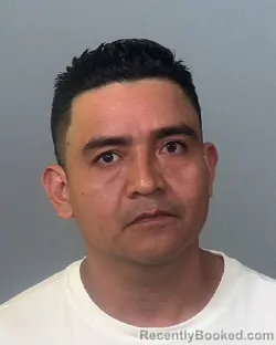 Mugshot of EULOGIO HERNANDEZ-MEJIA booked in Manatee County, Florida on March 25, 2026