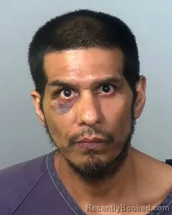 Mugshot of ERIK SCOTT HOHENGARTEN