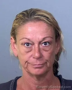 Mugshot of HEIDI LYNN HUDSON booked in Manatee County, Florida on May 18, 2026