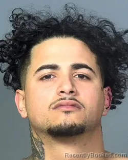 Mugshot of HAROLD Y HERNANDEZ SANTIAGO booked in Manatee County, Florida on April 4, 2026