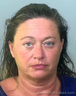 Mugshot of JENNY LEA HICKS booked in Manatee County, Florida on May 20, 2026