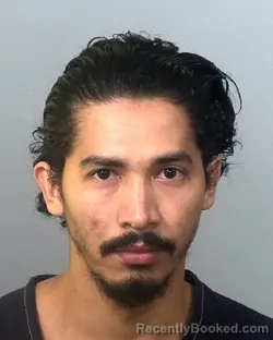 Mugshot of JHONY HERNANDEZ AMADOR