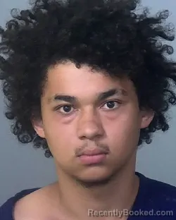 Mugshot of JAYDEN HILL booked in Manatee County, Florida on March 16, 2026