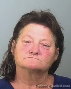 Mugshot of LOU ANN HARPER booked in Manatee County, Florida on March 28, 2026