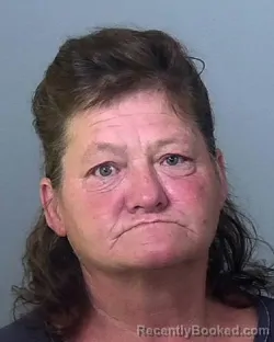Mugshot of LOU ANN HARPER booked in Manatee County, Florida on May 1, 2026