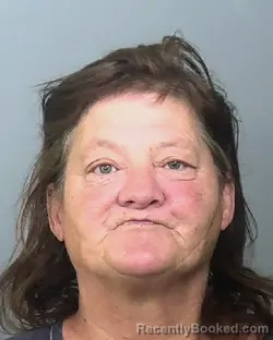 Mugshot of LOU ANN HARPER booked in Manatee County, Florida on May 4, 2026