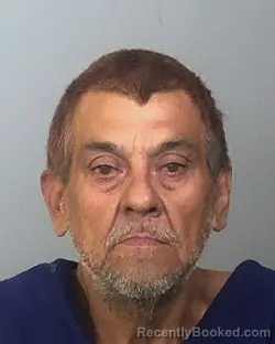 Mugshot of LUIS J HERNANDEZ booked in Manatee County, Florida on March 17, 2026