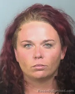 Mugshot of MELISSA TIFFANY ROSE HARBOR booked in Manatee County, Florida on March 26, 2026