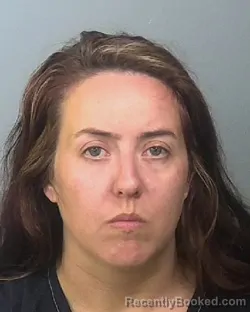 Mugshot of AMBER STARR JOHNSON booked in Manatee County, Florida on March 27, 2026