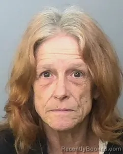 Mugshot of BRENDA LEE JOHNSON booked in Manatee County, Florida on May 15, 2026