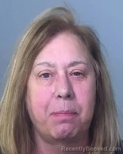 Mugshot of DONNA MARIE JOHNSON booked in Manatee County, Florida on March 29, 2026