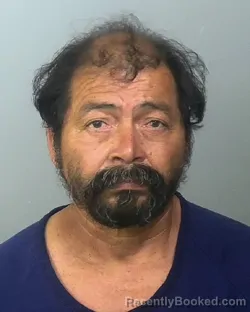 Mugshot of DOMINGO O JIRON booked in Manatee County, Florida on March 24, 2026