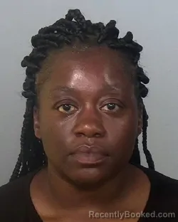 Mugshot of FLERITHA JOHNSON