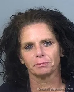 Mugshot of HEATHER ANN JOHNSON booked in Manatee County, Florida on April 3, 2026