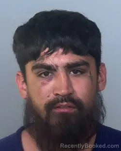 Mugshot of JOSE ALFONSO JIMENEZ COSTILLA booked in Manatee County, Florida on March 22, 2026