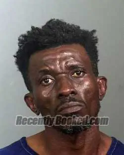 Booking photo from Manatee County, Florida