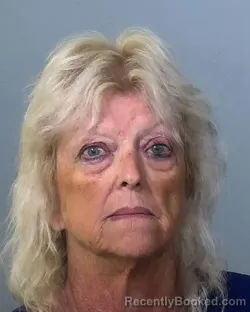 Mugshot of THERESA FAYE JOHNSON booked in Manatee County, Florida on May 20, 2026
