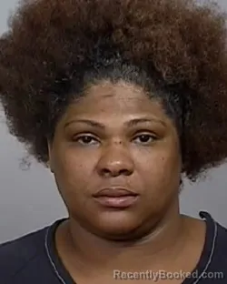 Mugshot of VANISHA NITRESE JONES booked in Manatee County, Florida on April 4, 2026