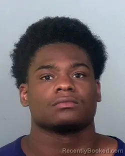 Mugshot of ZYDARRIAN LENARD JAMES booked in Manatee County, Florida on March 21, 2026