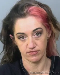 Mugshot of CIERRA MARIE KNAPP booked in Manatee County, Florida on March 31, 2026