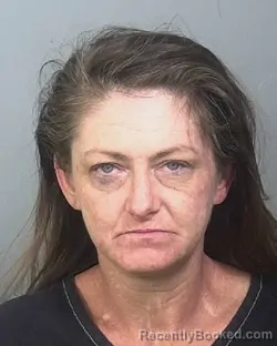 Mugshot of HEATHER LYNN KELLY