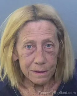 Mugshot of LYNANN CAROL KING booked in Manatee County, Florida on March 20, 2026