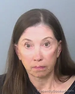 Mugshot of LORRAINE SUE KELLY booked in Manatee County, Florida on April 30, 2026