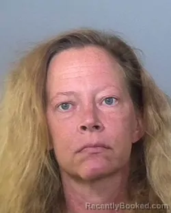 Mugshot of ROBIN LOUISE KONESKI booked in Manatee County, Florida on May 8, 2026
