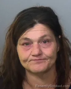 Mugshot of THERESA MARIE KALLAS booked in Manatee County, Florida on April 2, 2026