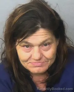 Mugshot of THERESA MARIE KALLAS booked in Manatee County, Florida on May 17, 2026