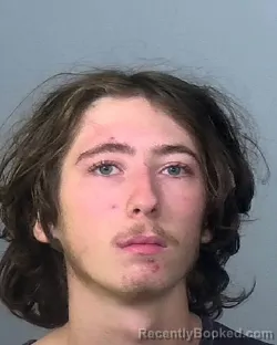 Mugshot of BRETT JAMES LEPLEY