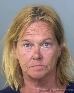Mugshot of CANDY JEAN LEWIS booked in Manatee County, Florida on April 30, 2026