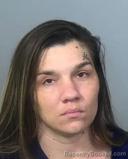 Mugshot of DANIELLE JO LEE