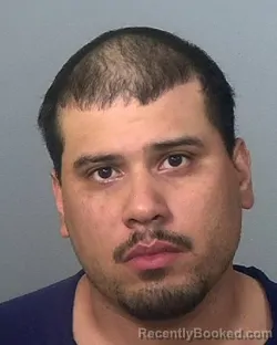 Mugshot of DANIEL LOPEZ booked in Manatee County, Florida on March 21, 2026