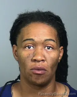 Mugshot of ERLANA LANAY LARKINS
