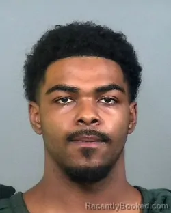 Mugshot of JEFFERY MONTREZ LEE