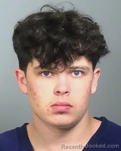 Mugshot of JAMES WALTER LUTZ