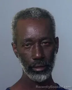 Mugshot of LUC ANDRE LAURENT booked in Manatee County, Florida on March 5, 2026