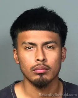 Mugshot of MARCO ANTONIO LOPEZ HERNANDEZ booked in Manatee County, Florida on April 4, 2026