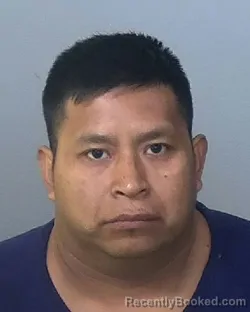 Mugshot of MARTIN LOPEZ VASQUEZ booked in Manatee County, Florida on May 9, 2026